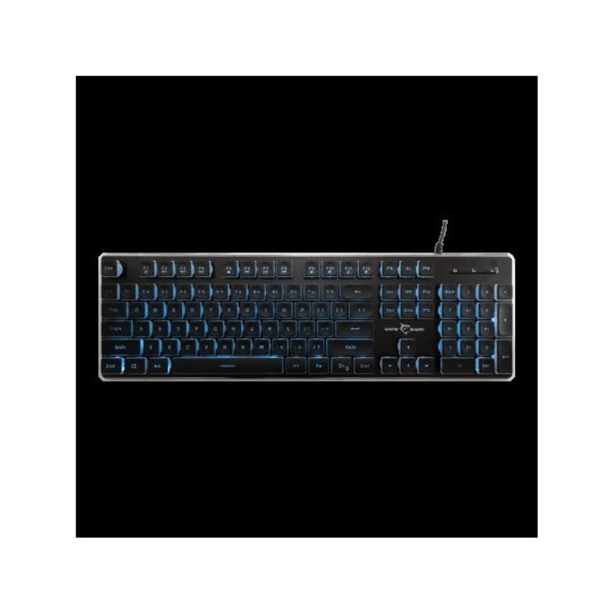WHITESHARK WS GK-003141B-US billentyűzet US USB 2.0 #1