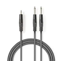 NEDIS COTH23200GY30 2x 6,35 mm - 3,5 mm sztereó audiokábel 3 m sötétszürke
