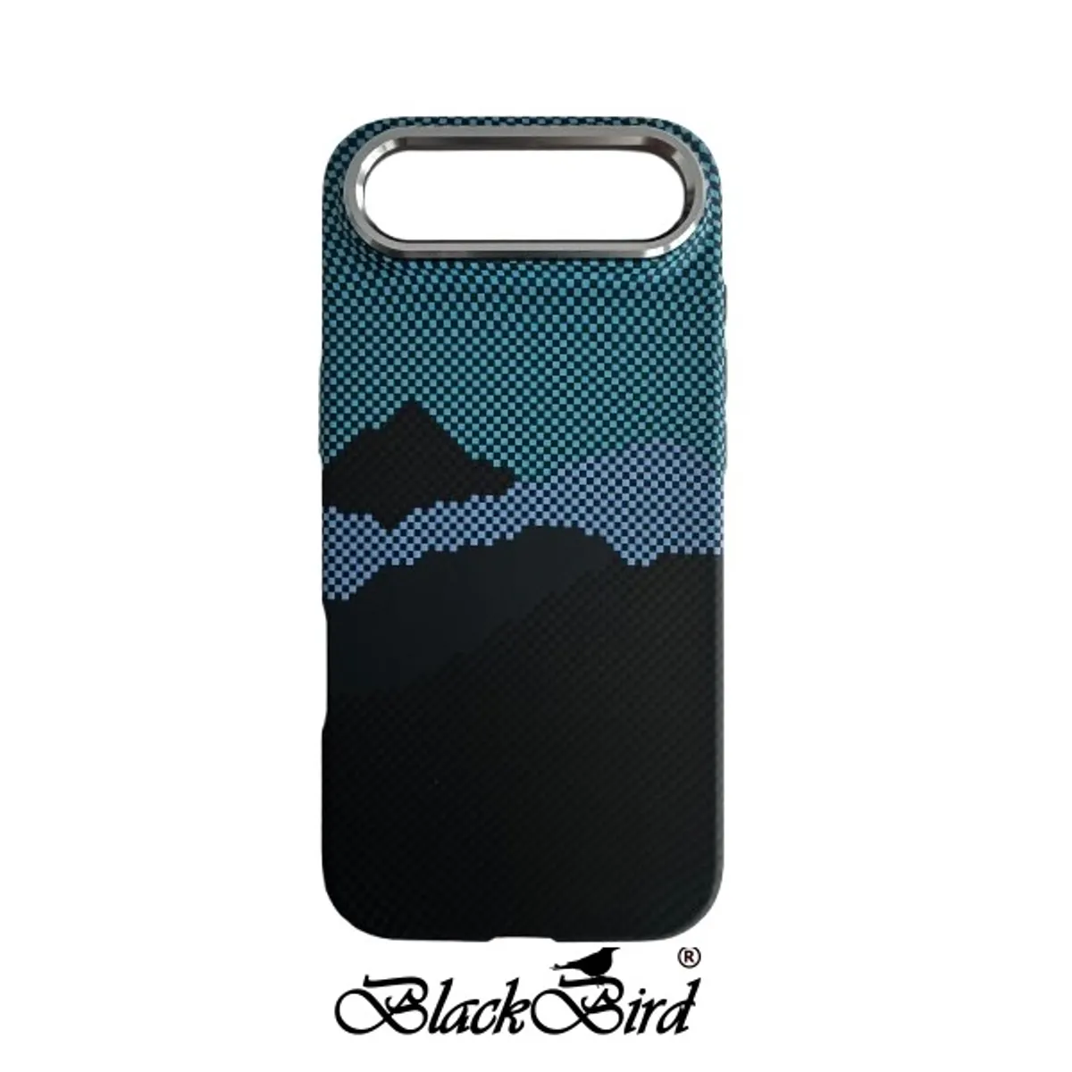 Blackbird bh1873 tok #1