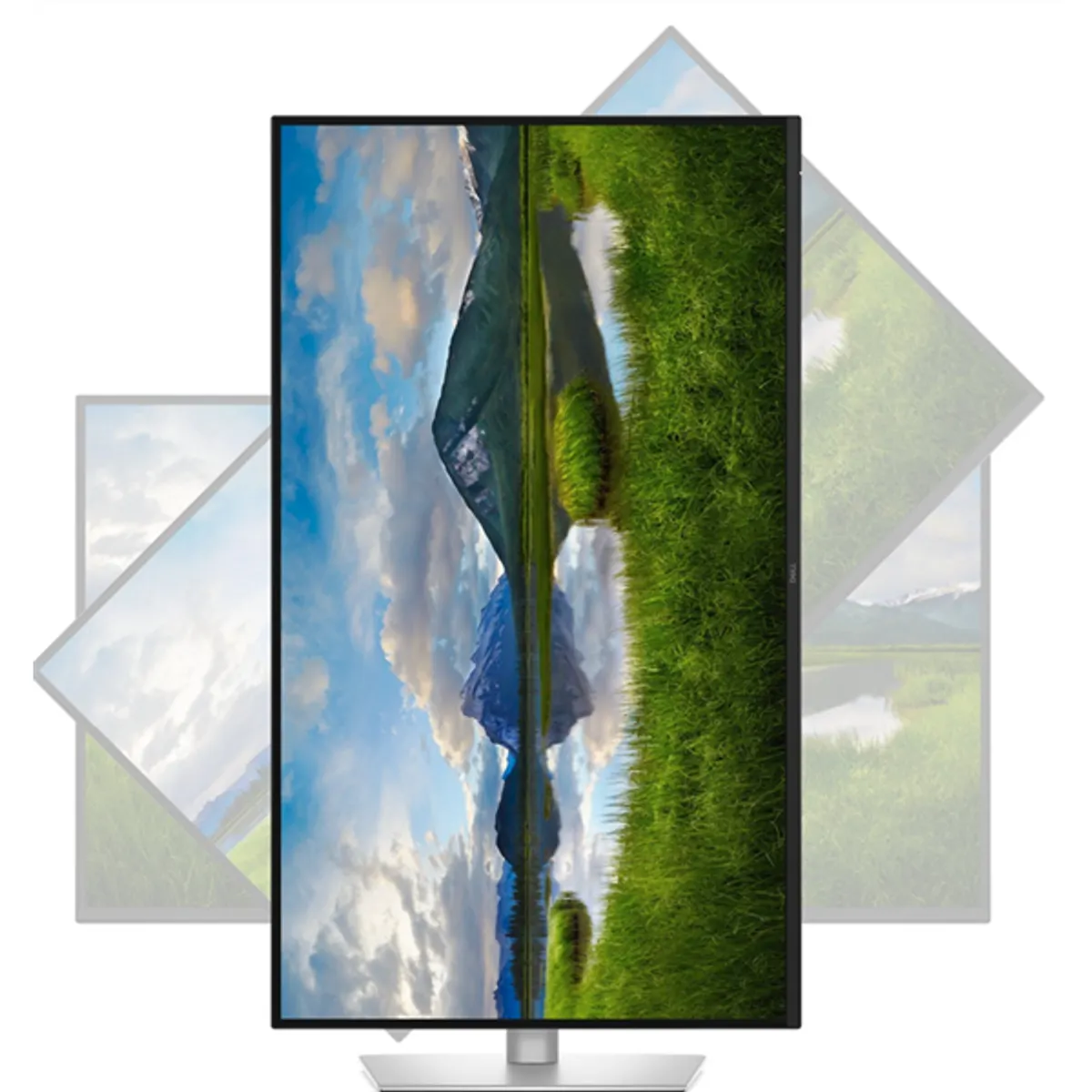 Dell SNP 210-BQZY UHD IPS 31.5" USB-C HDMI DP LAN 100 Hz 350 lm 16:9 VESA 100x100 #3