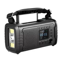 SANDBERG 421-38 Survivor DAB rádió és powerbank 20000 mAh Bluetooth 5.3 3W hangszóró IP53 2.0" TFT #2