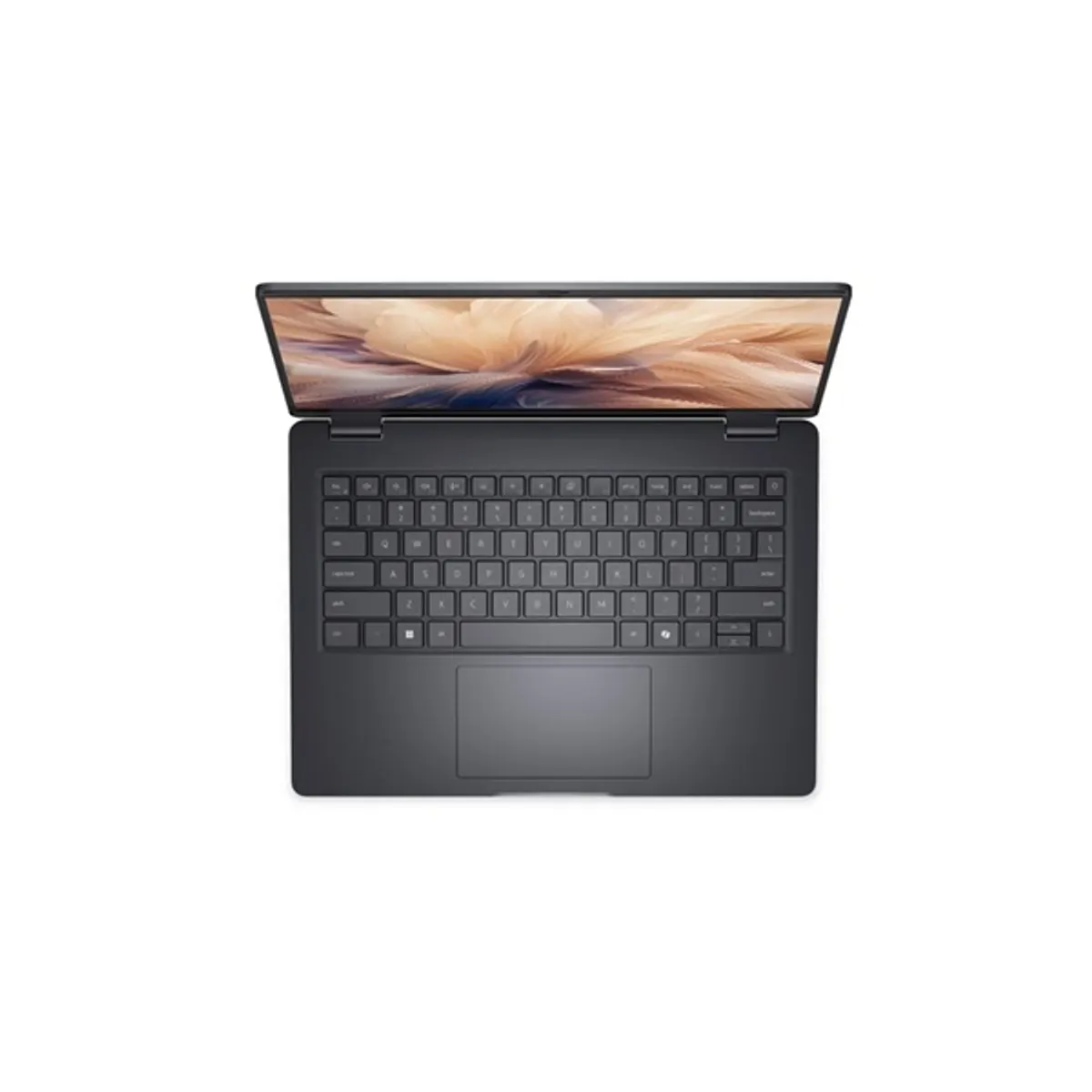 DELL NB-PC COM BTO010_PC14250_EMEA Pro 14 Intel Core i5-120U 16 GB DDR5 512 GB M.2 SSD Windows 11 Pro 14" matt HDMI 2.1 USB-C 1 db Ujjlenyomatolvasó #1