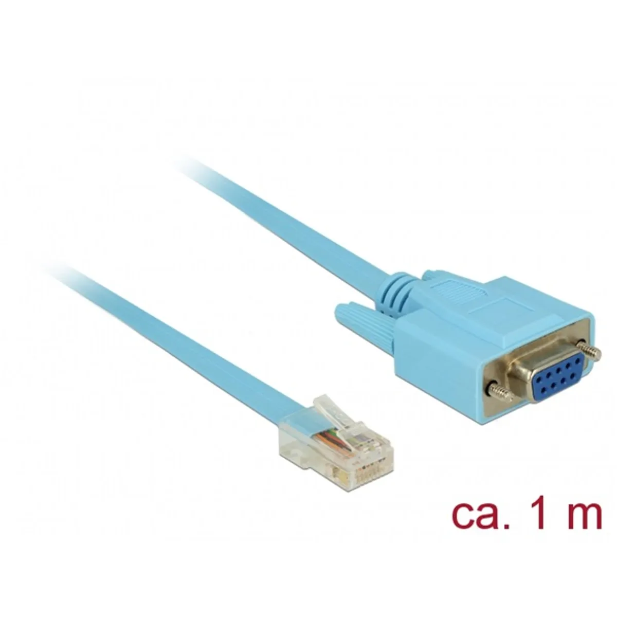 Delock 63341 RS-232 DB9 női csavarokkal - RS-232 RJ45 dugó 1 m #1