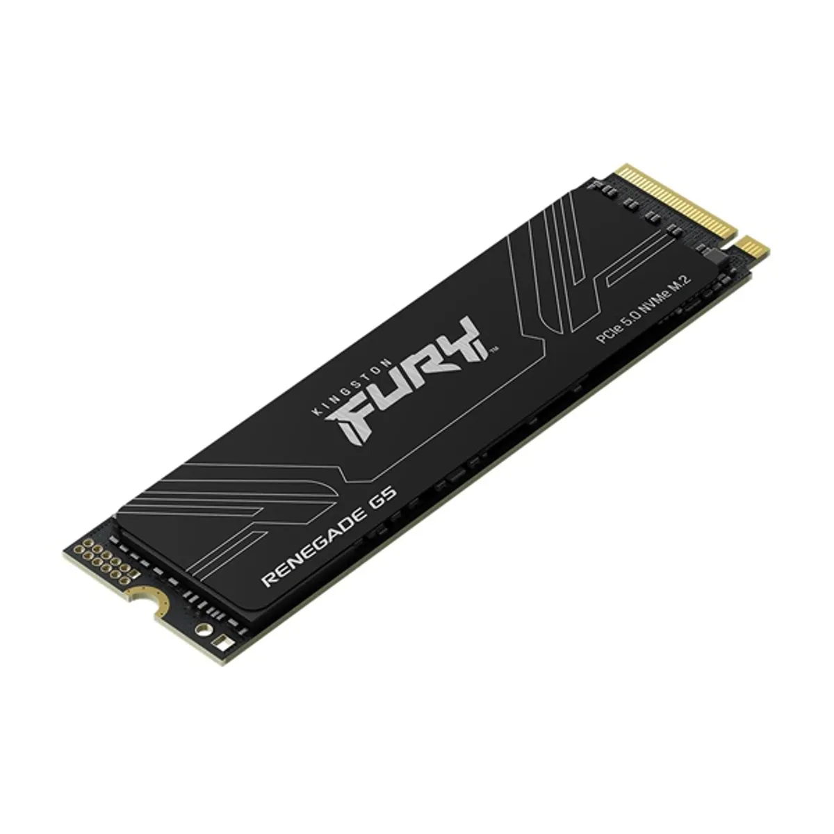 Kingston SFYR2S-1T0 Fury Renegade G5 M.2 2280 PCIe 5.0 NVMe 1TB #1