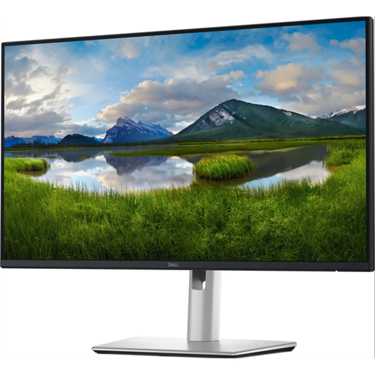 DELL SNP 210-BRDM monitor 24,1" 2560x1440 ips 100 Hz 8 ms 350 lumen USB-C HDMI DisplayPort VGA 100x100 VESA #1