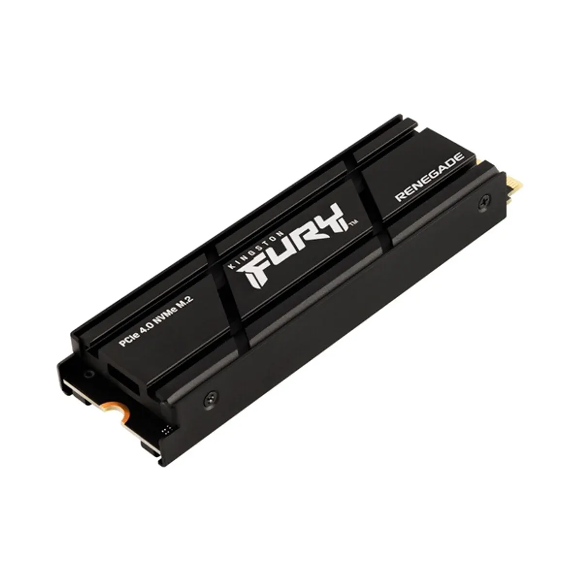 Kingston SFYRDK-4000G FURY Renegade M.2 PCIe 4.0 NVMe 4TB #1