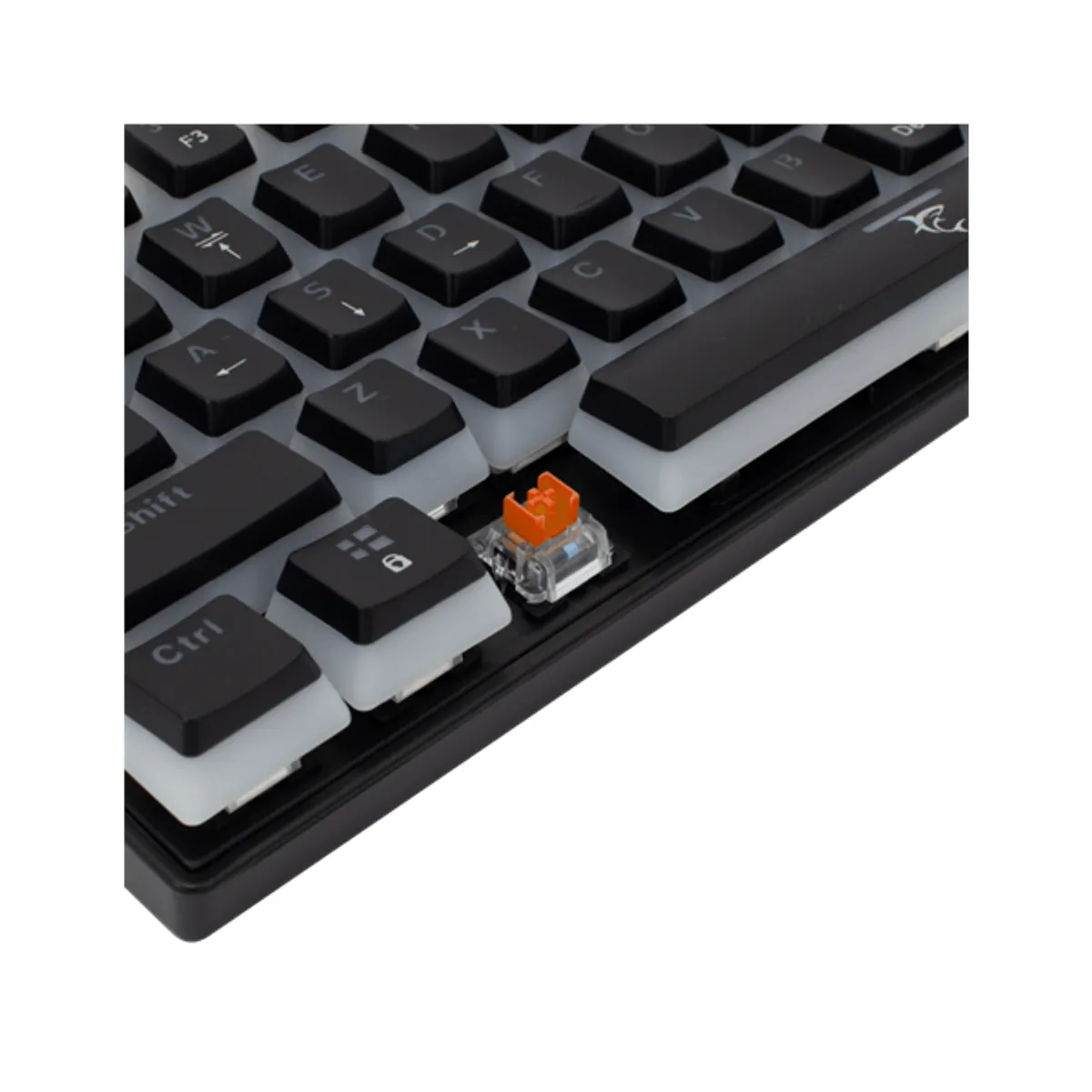 White Shark WS GK-2202-2B/R-US mechanikus billentyűzet háttérvilágítás USB 2.0 US layout vezetékes #5