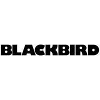 BLACKBIRD BH1635 HDMI-DVI átalakító fekete
