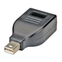 ROLINE 12.03.3130 Adapter DisplayPort - mini DisplayPort