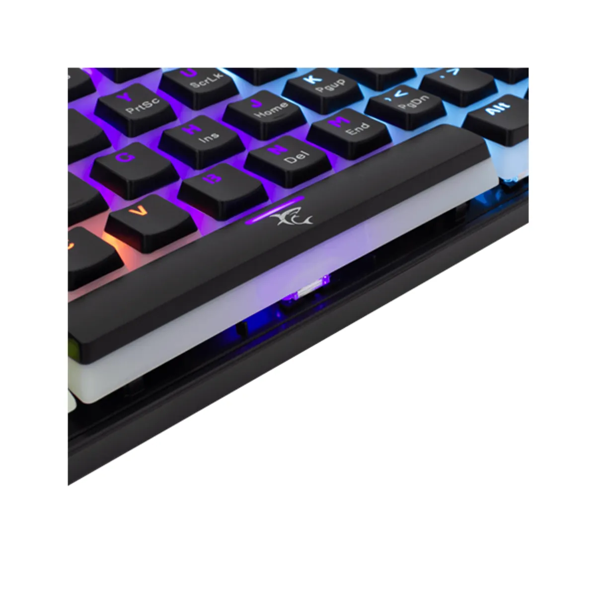 White Shark WS GK-2202-2B/R-US mechanikus billentyűzet háttérvilágítás USB 2.0 US layout vezetékes #4